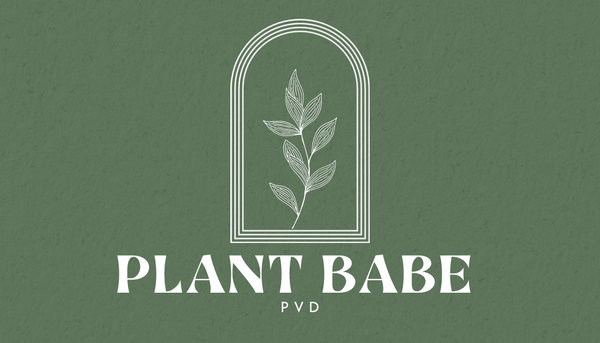 Plant Babe PVD